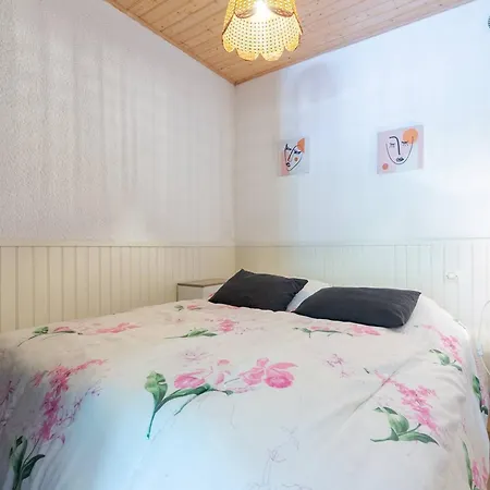 Cosy à Pour 4 Pers., Wifi Gratuit, Proche Télécabine, Et Balnéa - Fr-1-695-16 Appartement
